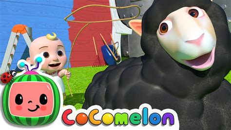 Baa Baa Black Sheep | @CoComelon Nursery Rhymes & Kids SongsBaa Baa Black Sheep | @CoComelon Nursery Rhymes & Kids SongsBaa Baa Black Sheep | @CoComelon N... 